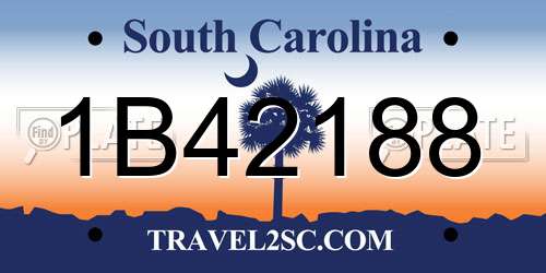 1B42188 South Carolina License Plate