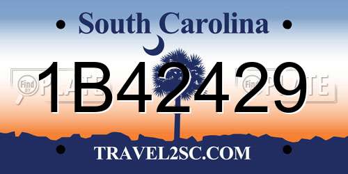 1B42429 South Carolina License Plate