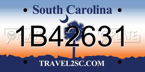1B42631 South Carolina License Plate