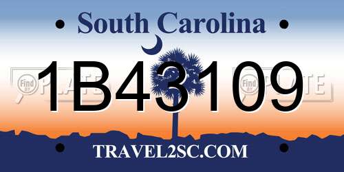 1B43109 South Carolina License Plate
