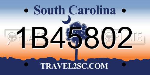 1B45802 South Carolina License Plate