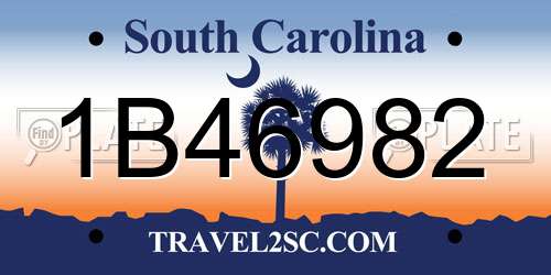 1B46982 South Carolina License Plate