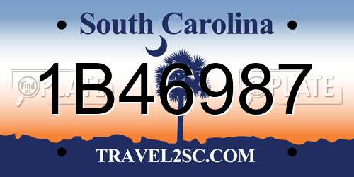 1B46987 South Carolina License Plate