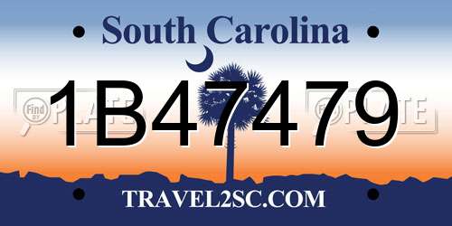 1B47479 South Carolina License Plate