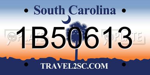 1B50613 South Carolina License Plate
