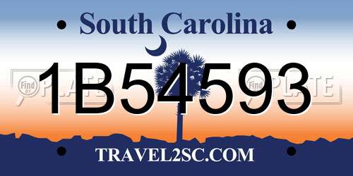 1B54593 South Carolina License Plate