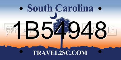 1B54948 South Carolina License Plate