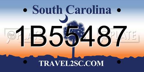 1B55487 South Carolina License Plate