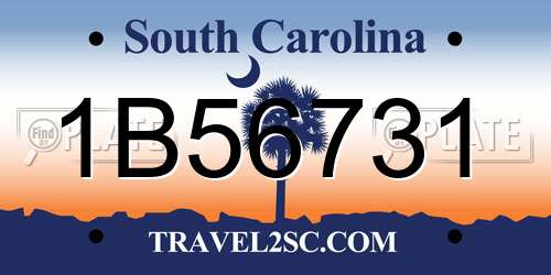 1B56731 South Carolina License Plate