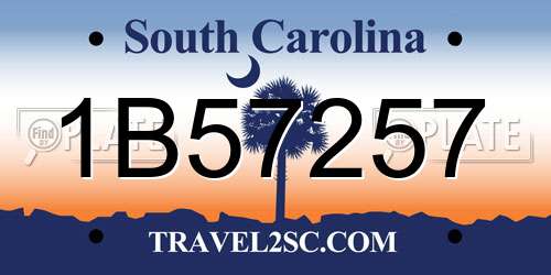 1B57257 South Carolina License Plate