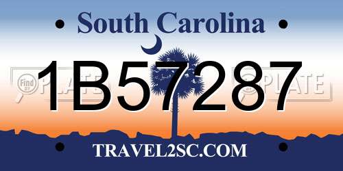 1B57287 South Carolina License Plate