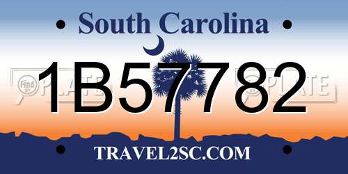 1B57782 South Carolina License Plate