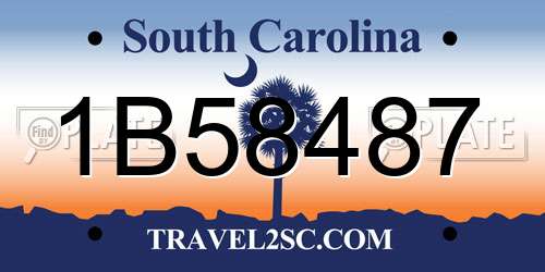 1B58487 South Carolina License Plate