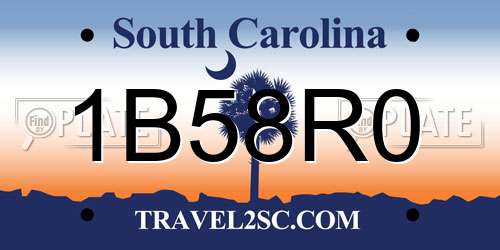 1B58R0 South Carolina License Plate