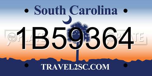 1B59364 South Carolina License Plate