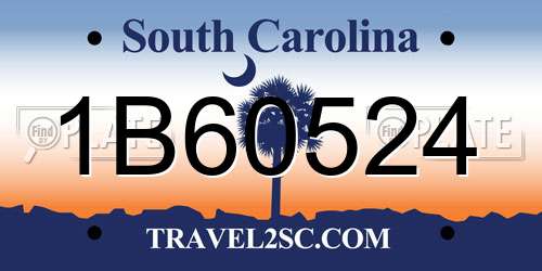 1B60524 South Carolina License Plate