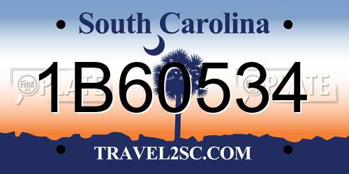 1B60534 South Carolina License Plate