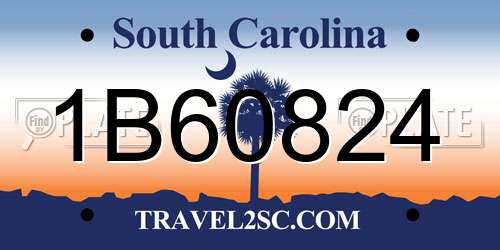 1B60824 South Carolina License Plate