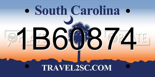 1B60874 South Carolina License Plate