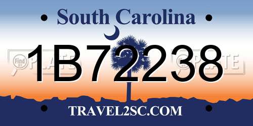1B72238 South Carolina License Plate