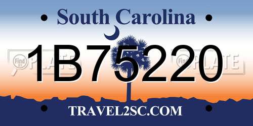 1B75220 South Carolina License Plate