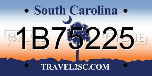 1B75225 South Carolina License Plate