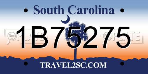 1B75275 South Carolina License Plate