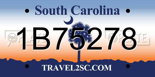 1B75278 South Carolina License Plate