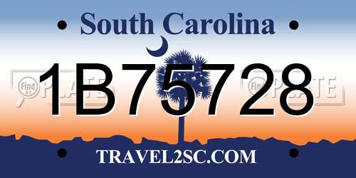 1B75728 South Carolina License Plate