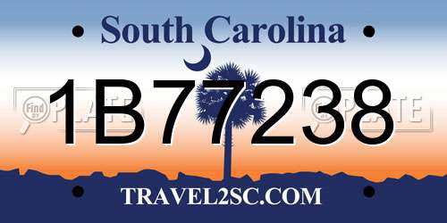1B77238 South Carolina License Plate