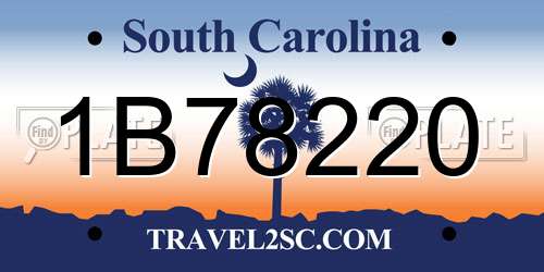1B78220 South Carolina License Plate