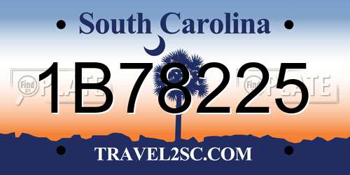 1B78225 South Carolina License Plate