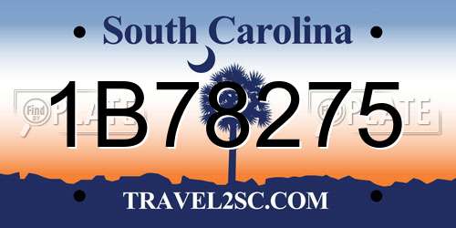1B78275 South Carolina License Plate