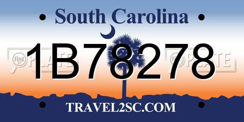 1B78278 South Carolina License Plate