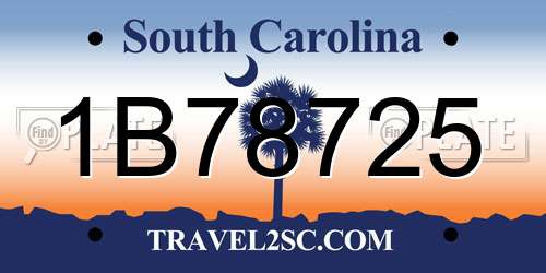 1B78725 South Carolina License Plate