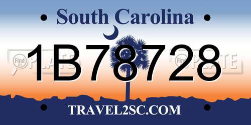 1B78728 South Carolina License Plate