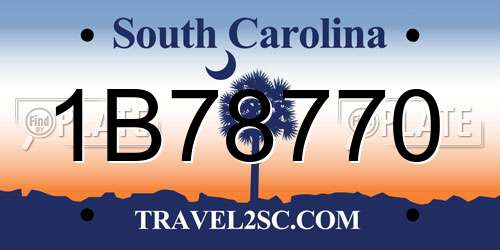 1B78770 South Carolina License Plate