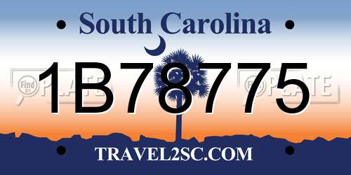 1B78775 South Carolina License Plate