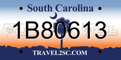 1B80613 South Carolina License Plate