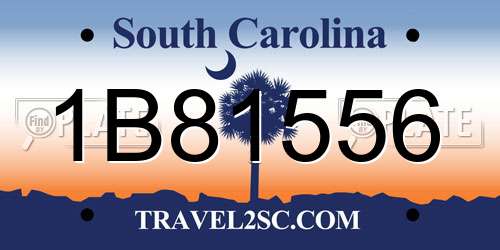 1B81556 South Carolina License Plate