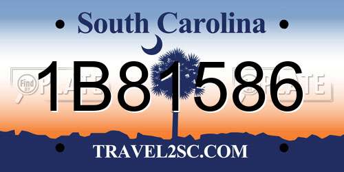 1B81586 South Carolina License Plate