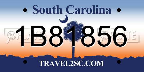1B81856 South Carolina License Plate