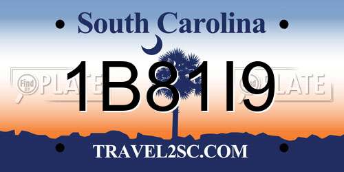 1B81I9 South Carolina License Plate