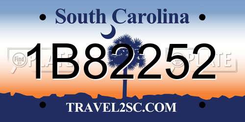 1B82252 South Carolina License Plate