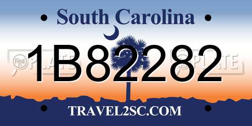 1B82282 South Carolina License Plate