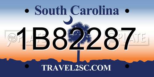 1B82287 South Carolina License Plate