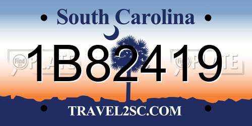 1B82419 South Carolina License Plate