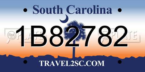1B82782 South Carolina License Plate
