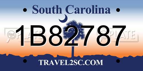 1B82787 South Carolina License Plate