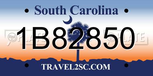 1B82850 South Carolina License Plate